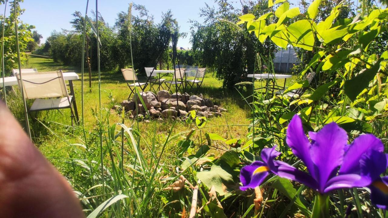 Ow Sargus Bed & Breakfast Władysławowo Exterior foto